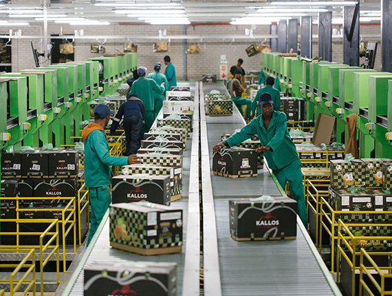 Our Operations Betko